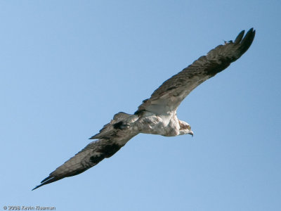 20090530_Nashua-NH_0064