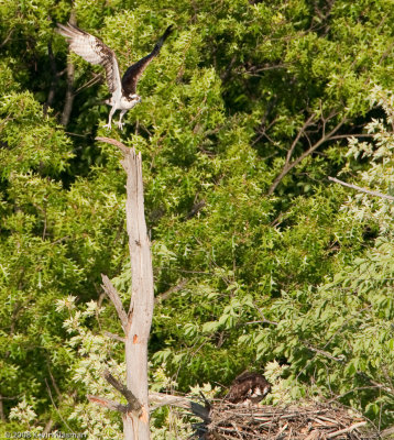 20090530_Nashua-NH_0122