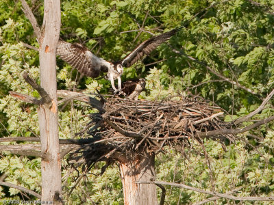 20090530_Nashua-NH_0133