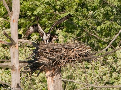 20090530_Nashua-NH_0135