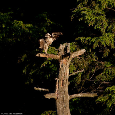 20090616_Nashua-NH_0086