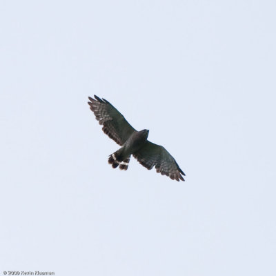 20090620_Nashua-NH_0050