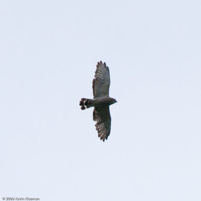 20090620_Nashua-NH_0055