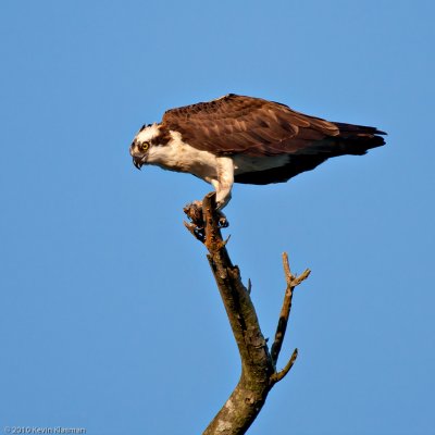 20100615_Nashua-NH_0113