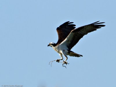 20100711_Nashua-NH_0059