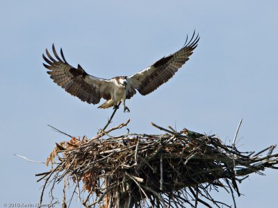 20100711_Nashua-NH_0132