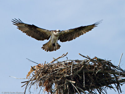 20100711_Nashua-NH_0198