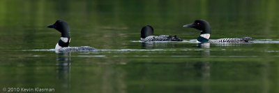 Willard Pond