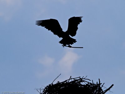 20100712_Nashua-NH_0212