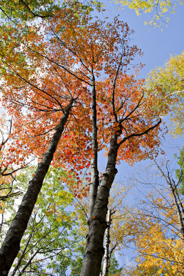 20101010_Campton-NH_0006