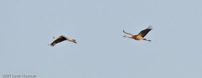 20070803_Lee-Metcalf-NWR-MT_0100