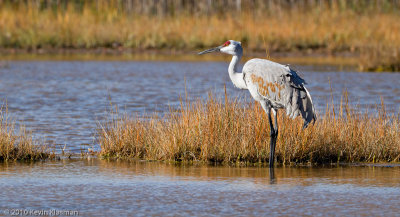 20101031_Rowley-MA_0282-2