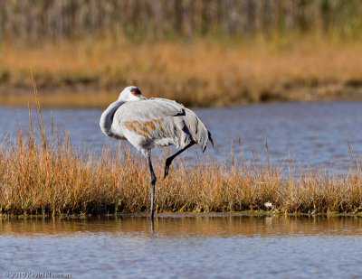 20101031_Rowley-MA_0321