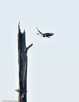 20100521_Hollis-NH_0023