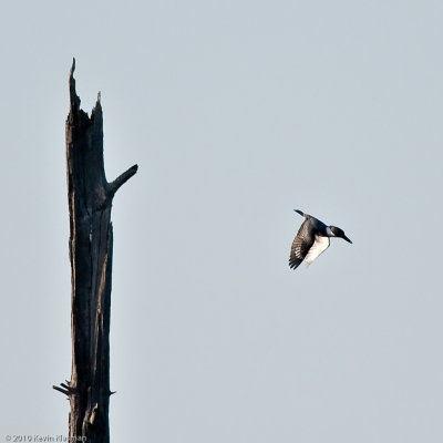 20100521_Hollis-NH_0024