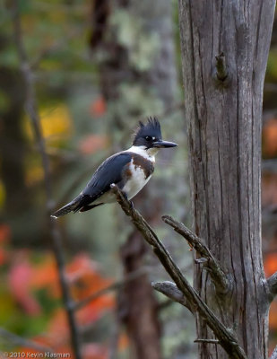 20101019_Heron-Pond_0161