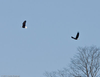 g1/49/749849/3/132067923.Hh96c0vD.jpg