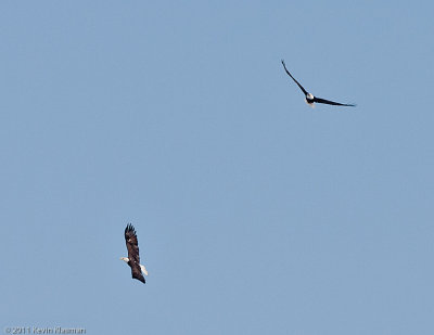 g1/49/749849/3/132067924.CN7S4GRF.jpg