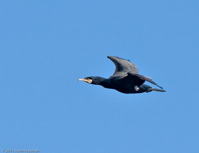 g1/49/749849/3/132219223.0jxTdn5f.jpg