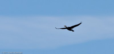 g1/49/749849/3/132219228.ONier8Nb.jpg