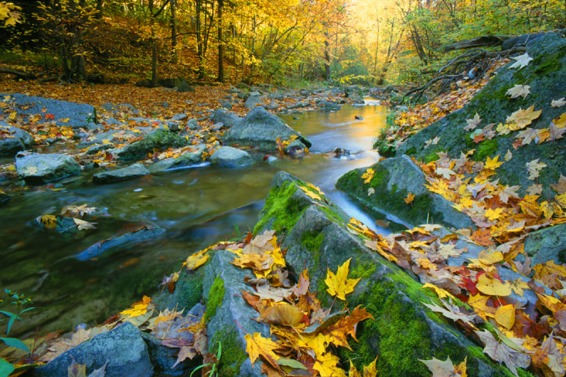 Rock Glen Autumn