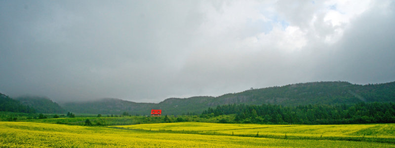 South Shore Farm