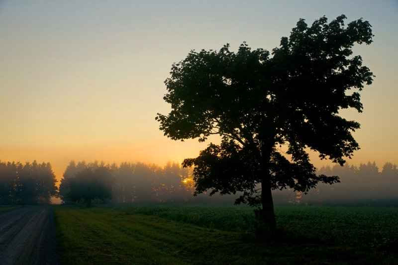 Sideroad Sunrise