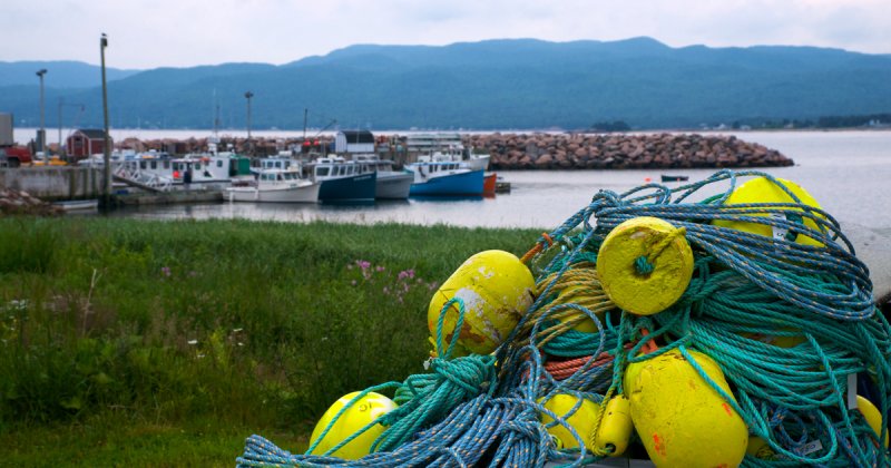 Floats, fleet