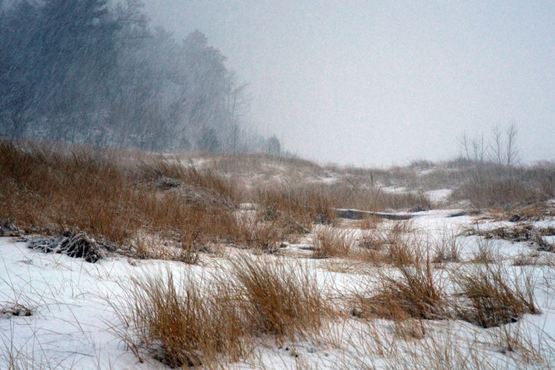 Beach Snowstorm