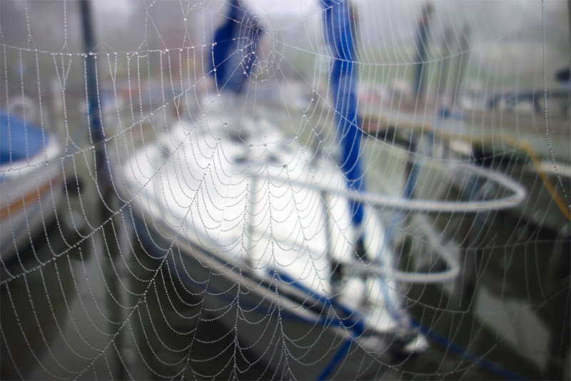 Standing Rigging