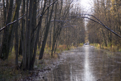 Flooded Road