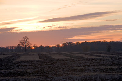 Sunrise, Field