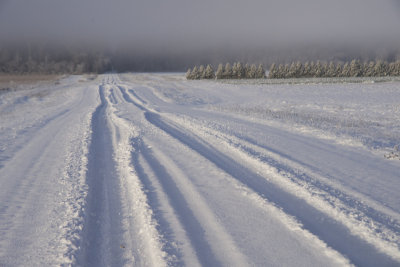 Snowy Road