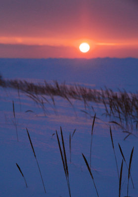 Dune Sunset, Winter