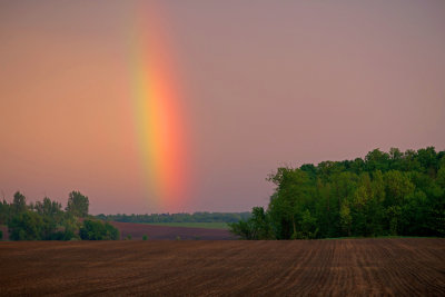 Rainbow, Field