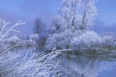 Hoar Frost