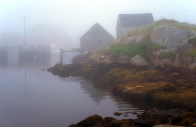 Fog, Harbour