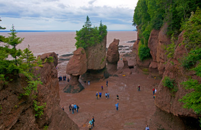 Fundy Park