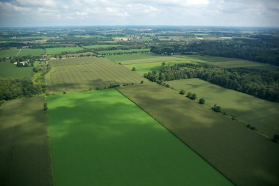 Aerial Fields