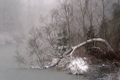 Stormy River View