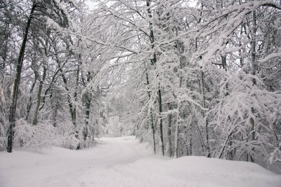 Snowy Street