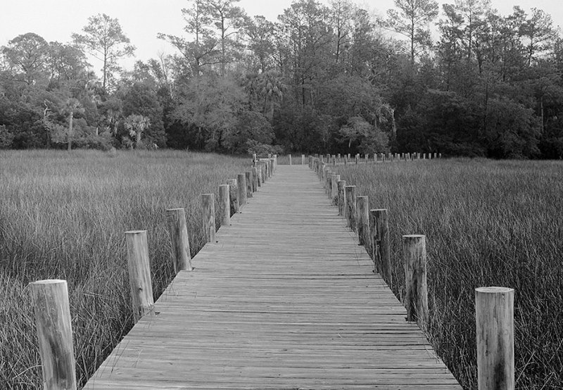 Zorky Boardwalk