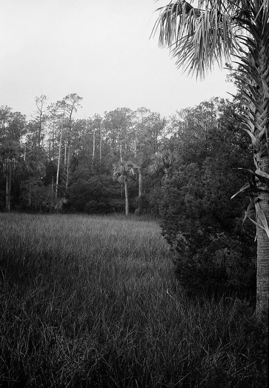 Zorky Island Marsh