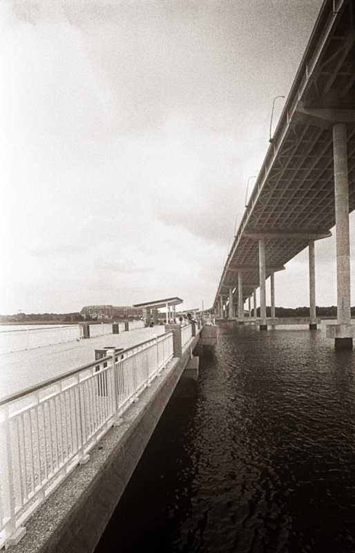 Waterfront Park 6