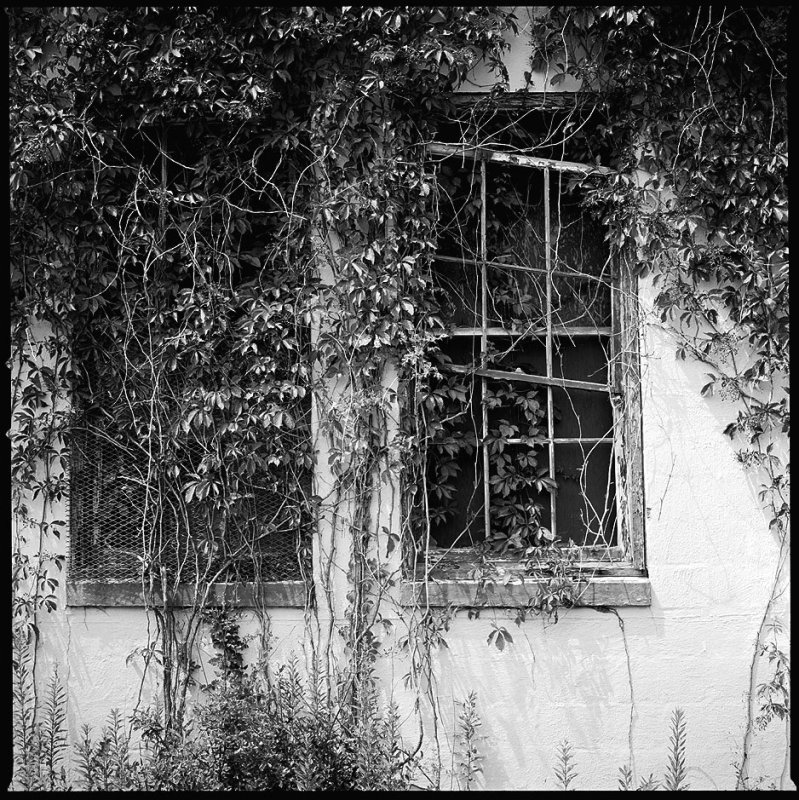Ruin #7