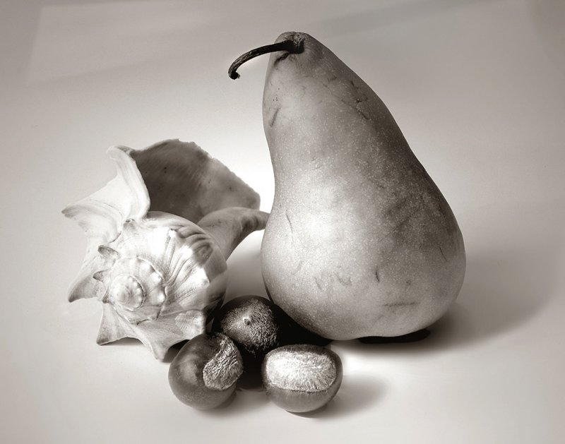 Pear with Shell