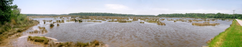 Wetlands