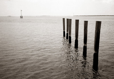 g1/49/766749/3/113927330.66IWxrRi.jpg