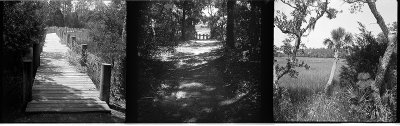 Baldixette Test Strip