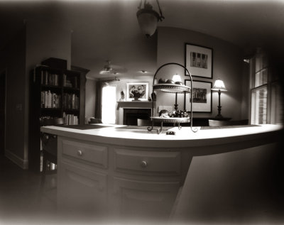 Darwin Pinhole #1